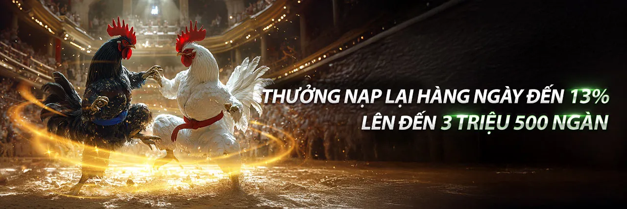 Đấu trường Đá Gà Thomo 24/5